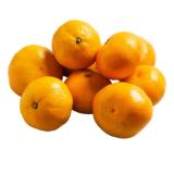 Satsumas Penny 1 Kilogramm 1 Netz