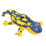 Schwimmtier „Salamander“ 42730340 BayWa 1 Stück