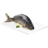 Karpfen, Preisangabe ohne MwSt. (Preis inkl. MwSt. 12,86 €), METRO 1 Kilogramm