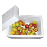 Thermobox, 50 l 707238 BayWa 1 Stück