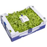 Promotion Bild von Metro Chef Rucola lose, Preisangabe ohne MwSt. (Preis inkl. MwSt. 8,79 €), METRO 1 Kilogramm