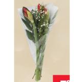 Amaryllis Strauß MPREIS 5 Stück