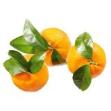 Clementinen Lidl 1.50 Kilogramm