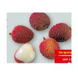 Süß-säuerliche Litschi INTERSPAR 1 Kilogramm