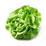 Da komm' ich her! frischer Häuptelsalat BILLA PLUS 1 Stück