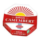 Schärdinger Sirius Camembert BILLA 100 Gramm 1 Stück