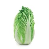 SPAR herzhafter Chinakohl SPAR 1 Kilogramm