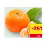 Mandarinen Nadorcott MPREIS 1 Kilogramm