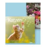 Bildkalender Maximarkt 1 Stück