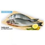 Goldbrasse od. Wolfsbarsch BILLA PLUS 100 Gramm