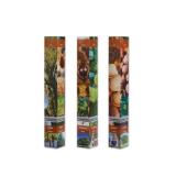 Nussgehölz in Faltschachtel div. Sorten Lidl 1 Stück