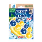 Blue Star WC-Beckensteine div. Sorten BIPA 2 Stück