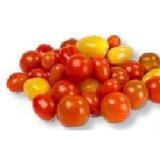 Bild von Bunte Cherrytomaten MPREIS 250 Gramm 1 Packung