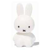 Promotion Bild von Miffy-USB-Stick, USB 2.0, 8 GB HEMA 1 Stück