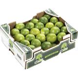 Limetten behandelt, Preisangabe ohne MwSt. (Preis inkl. MwSt. 2,41 €), METRO 1 Kilogramm