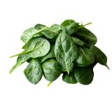 Bio Babyspinat Lidl APP Preis 125 Gramm