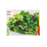 HOFER Marktplatz Pflücksalat versch. Sorten HOFER 125 Gramm 1 Packung