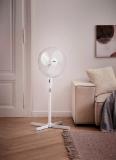 Promotion Bild von Boxxx STANDVENTILATOR 88280005 XXXLutz 1 Stück