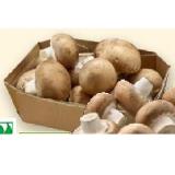 Bio-Champignons Denns BioMarkt 250 Gramm 1 Schale