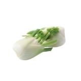 Spar Natur pur Bio-Fenchel SPAR Gourmet 1 Kilogramm