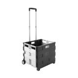 Promotion Bild von homezone Klappbox-Trolley „Chrisi“ 85000080 Möbelix 1 Stück