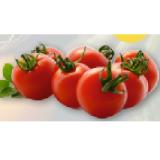 Cherrytomaten T&G 500 Gramm 1 Packung