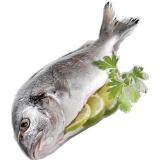 Promotion Bild von Cromaris BIO Goldbrasse, Preisangabe ohne MwSt. (Preis inkl. MwSt. 16,49 €), METRO 1 Kilogramm