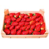 Best Moments Fruchtig-Süsse Erdbeeren Penny 900 Gramm