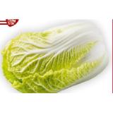 Da komm’ ich her! Chinakohl BILLA PLUS 1 Kilogramm