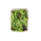 M Pflücksalat MPREIS 100 Gramm 1 Packung