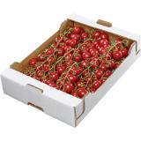 Cherrytomaten mit Rispe, Preisangabe ohne MwSt. (Preis inkl. MwSt. 9,89 €), METRO 1 Kilogramm