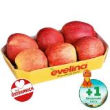 Promotion Bild von Evelina Apfeltasse Penny 1 Kilogramm 1 Packung
