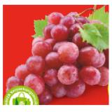 Promotion Bild von HOFER Marktplatz Premium Trauben kernlos rot HOFER 1 Kilogramm