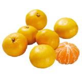 Satsumas Lidl 1 Kilogramm