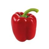 Da komm' ich her! Paprika rot od. gelb BILLA 1 Stück