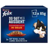 Purina felix Katzennassfutter div. Sorten dm 85 Gramm 12 Stück