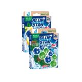 Blue Star Beckensteine Duo verschiedene Sorten Sutterlüty 2 Stück