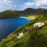 Irland, Wild Atlantic Way, pro Person ab 1099,00 € bei Lidl Reisen