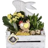 Bild von Holz-Hasenarrangement, Preisangabe ohne MwSt. (Preis inkl. MwSt. 15,81 €), METRO 1 Stück