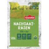 Grandiol Nachsaatrasen Lidl 500 Gramm 1 Packung