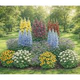 Dehner Bio Bio Stauden-Set Bunter Landhausgarten, 12-teilig, Topf Ø9 cm Dehner 1 Set