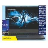 Medion Erazer Gaming Notebook Major X20 MD62617 HOFER 1 Stück