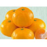 erfrischend, saftige Satsumas SPAR 1 Kilogramm 1 Netz