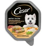 Cesar Hundenassfutter div. Sorten dm 150 Gramm 1 Schale