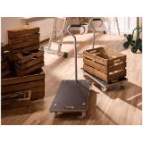 Parkside Transporthilfe mit Ziehgriff Lidl 1 Stück