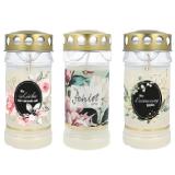 Hofer  Premium Motivlicht versch. Motive Lidl 1 Stück