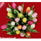 Tulpenstrauß bunt 21er Lidl 1 Bund