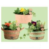 Blühpflanze Zwiebel-Mix, Ø-Schale: 18 cm, H ca. 25 cm / bepflanzter Korb, Ø-Korb: 19 cm, H ca. 20 cm / Frühlingsarrangement in Zinkschale, Ø-Schale: 19 cm, H ca. 20 cm HOFER 1 Stück