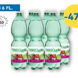 Waldquelle Waldbeere oder Birne-Holunder T&G 1 Liter 1 Flasche