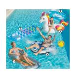 Pool-Fun Artikel div. Sorten maxi.preisjoker Maximarkt 1 Stück
